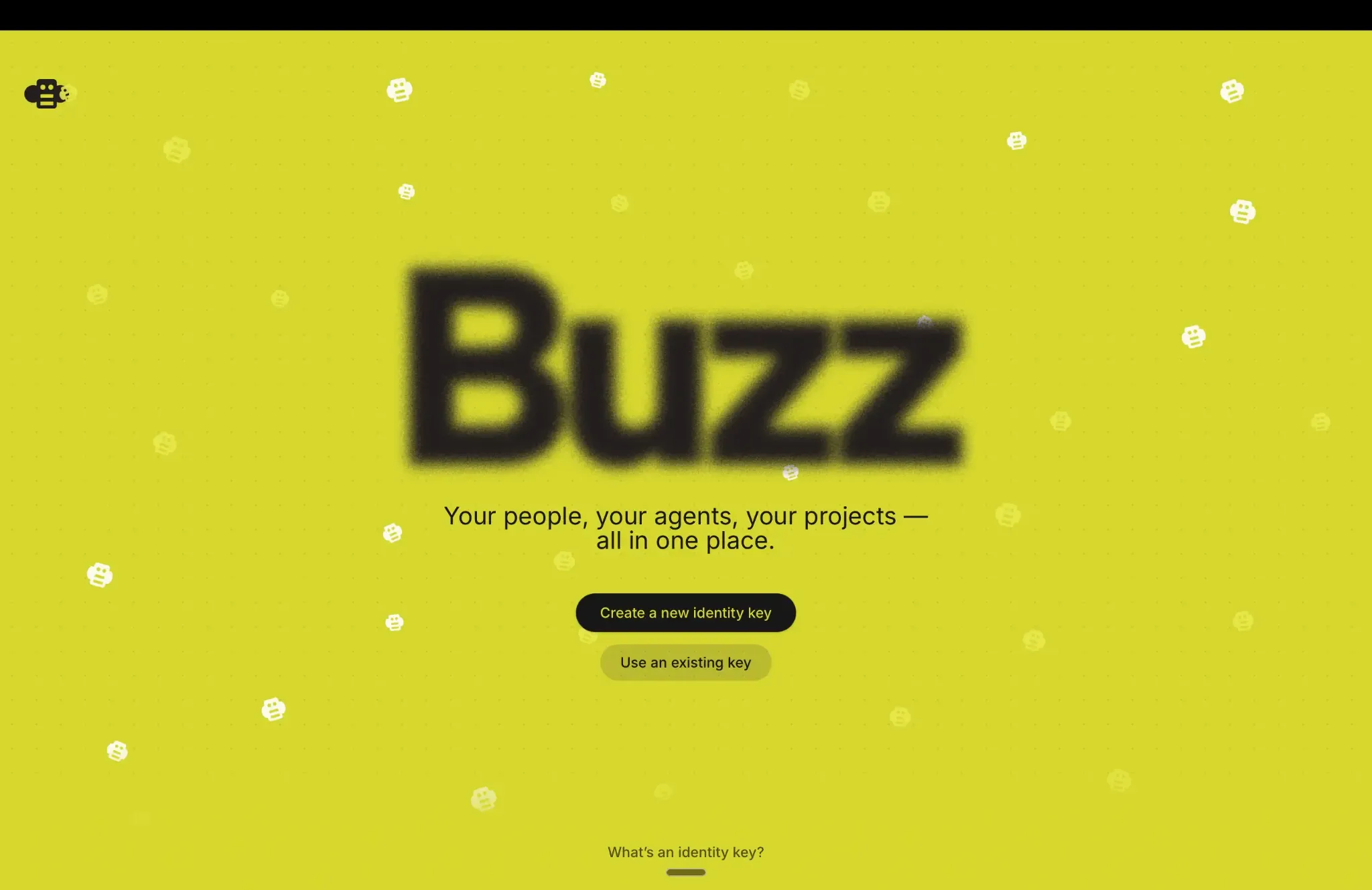 Buzz welcome screen with options to create or use an identity key